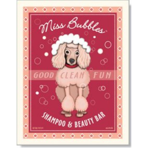 Dog Poodle - Miss Bubbles 8x10 Print