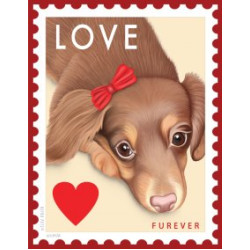 Dog Doxie Love "Faux" Furever Stamp 8x10 Art Print Dog Doxie Love "Faux" Furever Stamp 8x10 Art Print