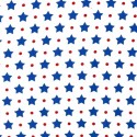 Blue Stars with Dots Puppy Belly Band
