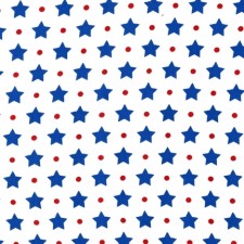 Blue Stars with Dots Puppy Belly Band