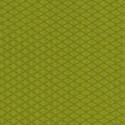 Nordic Diamond Green Puppy Belly Band