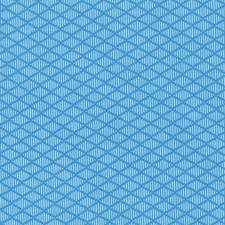 Nordic Diamond Blue Puppy Belly Band