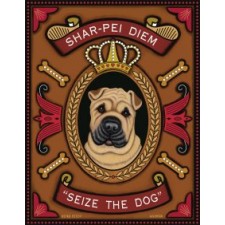Dog Shar-Pei Diem 8x10 Art Print