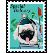 Dog Pekingese Special Delivery 8x10 Art Print