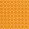 Tangerine Mini Flowers Puppy Belly Band
