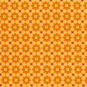 Tangerine Mini Flowers Puppy Belly Band