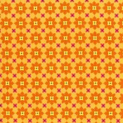 Tangerine Mini Flowers Puppy Belly Band