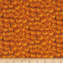 Autumn Orange Pumpkins Puppy Belly Band