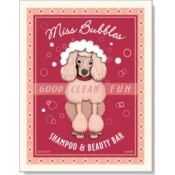 Dog Poodle - Miss Bubbles