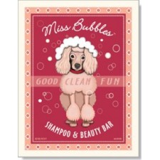 Dog Poodle - Miss Bubbles