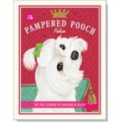 Dog Maltese - Pampered Pooch