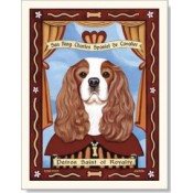 Dog King Charles Cavalier