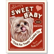 Dog Yorkshire Terrier - Sweet Baby 8x10 Print